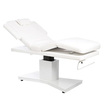 Table de Massage Électrique Poséidon Skaï Blanc Pied Wengé