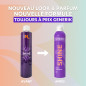 Spray Brillance Generik 300ml