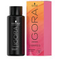 Igora Vibrance 10-91 Pastel Doux Violet Cendré 60ml Schwarzkopf Igora Vibrance 10-91 Pastel Doux Violet Cendré 60ml Schwarzkopf