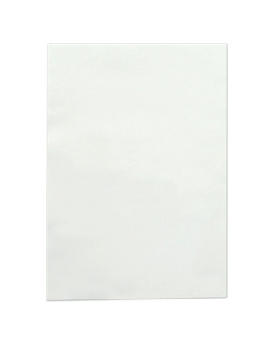Feuille de Collagène Elements A4