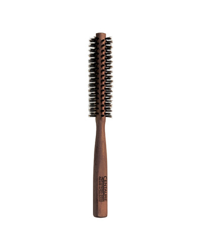 BROSSE CENTAURE 100% SANGLIER PØ25 +++
