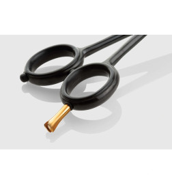 Ciseaux Iwasaky Karbon 5.5"