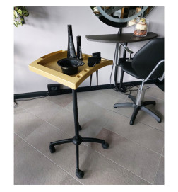 Table de Service TWINGO 1 Grise