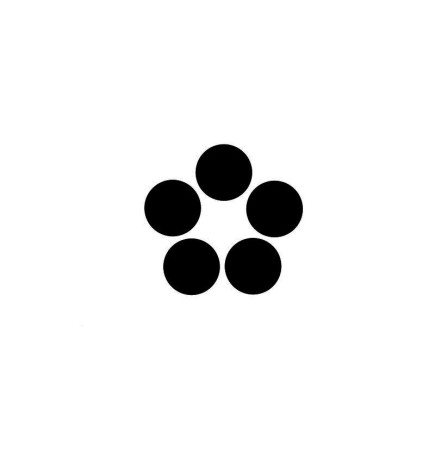 5 cartouches Dermopigmentation 5 pointes Power Biotic Phocea