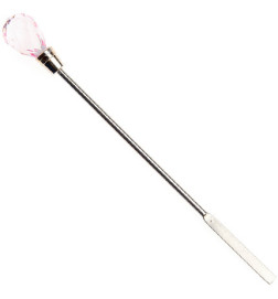 Diamond Stick Mélangeur