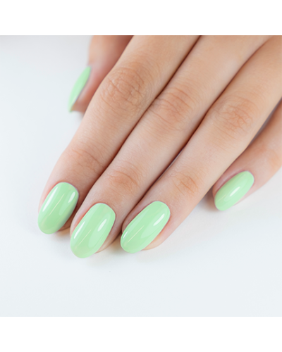 Vernis Longwear N° 242 Palmy Days 10 Ml