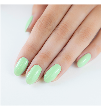 Vernis Longwear N° 242 Palmy Days 10 Ml