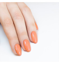 Vernis Longwear N°311 Antilope 10ml