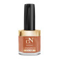 Vernis Longwear N°317 Chai Spice Pronails 10ml Vernis Longwear N°317 Chai Spice Pronails 10ml