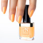 Vernis Longwear N°329 It Takes Two To Mango 10ml Vernis Longwear N°329 It Takes Two To Mango 10ml