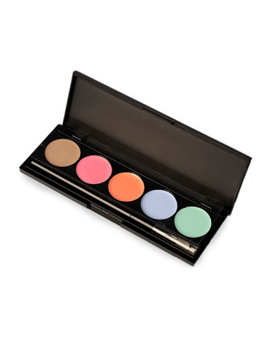 Palette Paint Ombres à Ongles Pastel ProNails