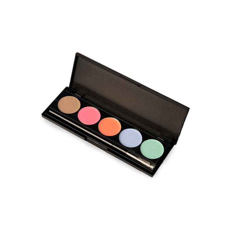 Palette Paint Ombres à Ongles Pastel ProNails