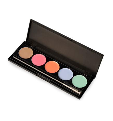 Palette Paint Ombres à Ongles Pastel ProNails