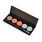 Palette Paint Ombres à Ongles Pastel ProNails