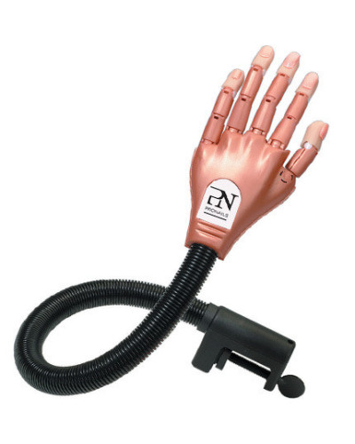 Main D'Exercice Complète