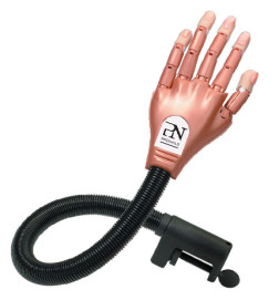 Main D'Exercice Complète