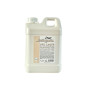 Gel Laque Liquide Hairgum 2000ml