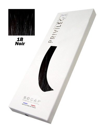 Extensions à Clips 3 Bandes Pack Privilège tête entière N°1B