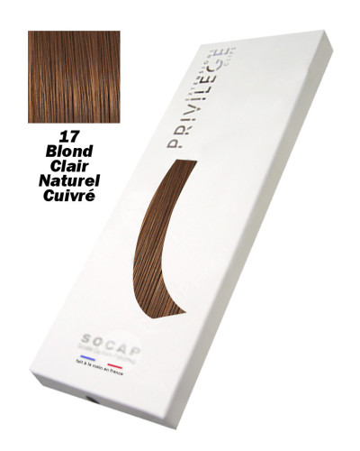Extensions à Clips 3 Bandes Pack Privilège tête entière  N°17
