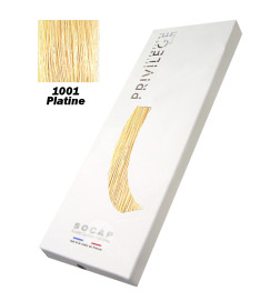 Extensions à Clips 3 Bandes Pack Privilège tête entière N° 1001
