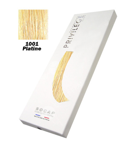Extensions à Clips 3 Bandes Pack Privilège tête entière N° 1001