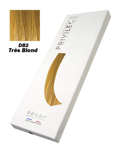 Extensions à Clips 3 Bandes Pack Privilège tête entière N° DB2