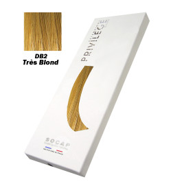 Extensions à Clips 3 Bandes Pack Privilège tête entière N° DB2