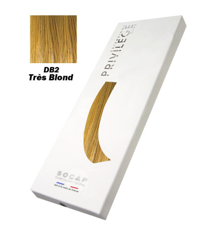 Extensions à Clips 3 Bandes Pack Privilège tête entière N° DB2