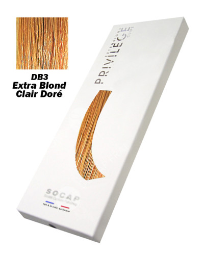 Extensions à Clips 3 Bandes Pack Privilège tête entière N° DB3