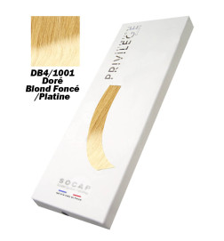 Coffret Extensions Privilège Mèche à Clips N° DB4/1001 Tie and Dye
