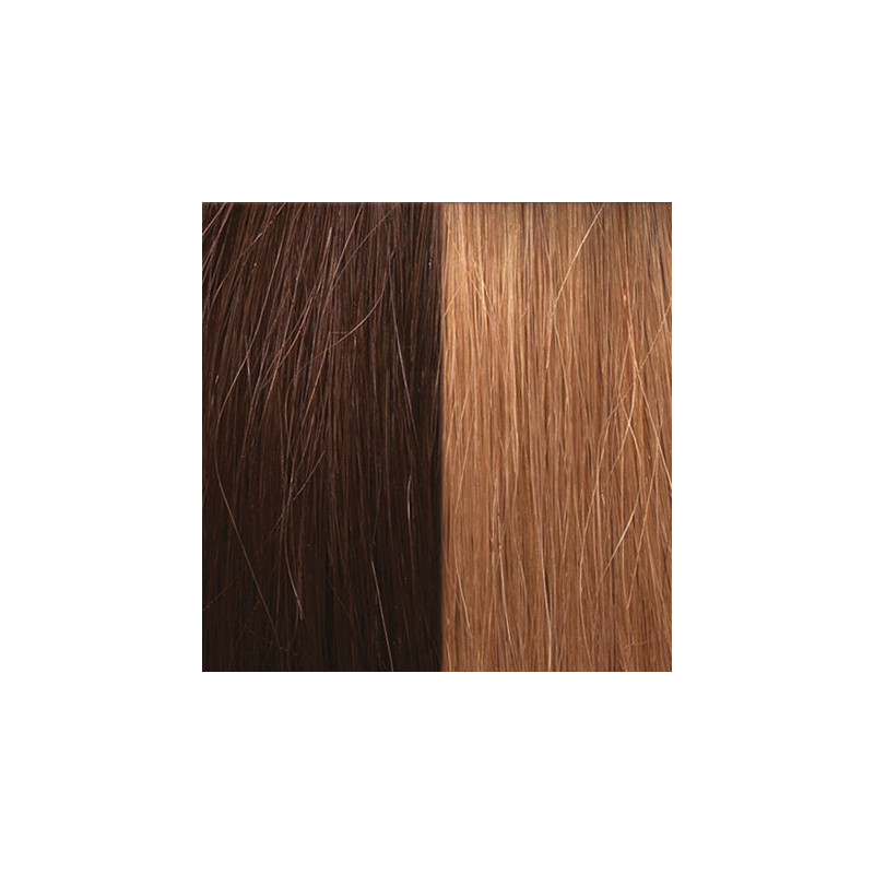 Extensions Naturelles Lisses Kératine System N°6/27 Extensions Naturelles Lisses Kératine System N°6/27