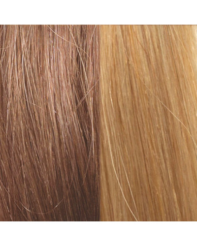 Extensions Naturelles Lisses Kératine System N°18/24