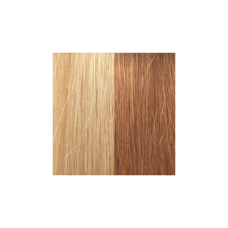 Extensions Naturelles Lisses Kératine System N° 20/27x10pcs