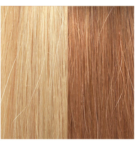 Extensions Naturelles Lisses Kératine System N° 20/27x10pcs