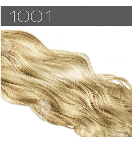Mèches Cheveux Naturelles Ondulés N°1001 So.Cap
