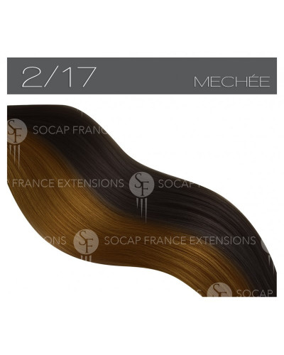 Mèches Cheveux Naturelles Premium N°2/17SoCap