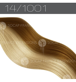 Mèches Cheveux Naturelles Premium14/1001SoCap