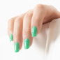 Vernis à ongles Green LAK Palmier Peggy Sage 10ml Vernis à ongles Green LAK Palmier Peggy Sage 10ml