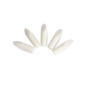 5 Mines pour Crayon Correcteur de Vernis Peggy Sage 5 Mines pour Crayon Correcteur de Vernis Peggy Sage