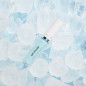 Gloss Repulpant Instantané 002 Ice 8ml Gosh