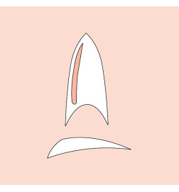 Capsules Stiletto Transparentes Peggy Sage x 50
