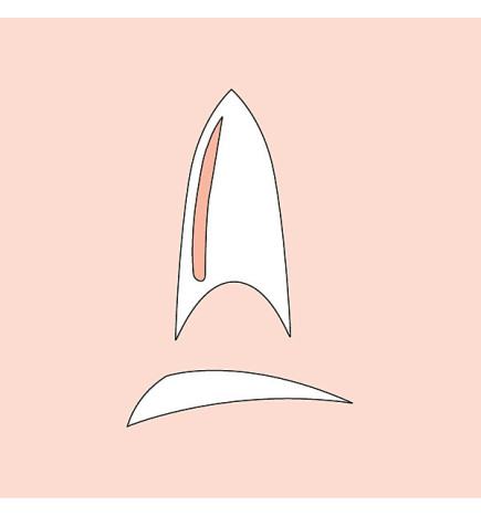 Capsules Stiletto Transparentes Peggy Sage x 50
