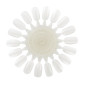 Onglier Vierge 18 Teintes Peggy Sage Onglier Vierge 18 Teintes Peggy Sage