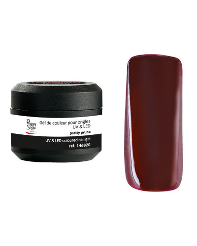 Gel de Couleur pour Ongles Uv&LED Color It Pretty Prune Color It Peggy Sage 5g