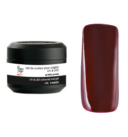 Gel de Couleur pour Ongles Uv&LED Color It Pretty Prune Color It Peggy Sage 5g