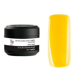 Gel de Couleur pour Ongles Uv&LED Color It Canari Twist Peggy Sage 5g