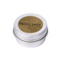 Pigments Pour Ongles Chrome Gold 1,5gr Peggy Sage