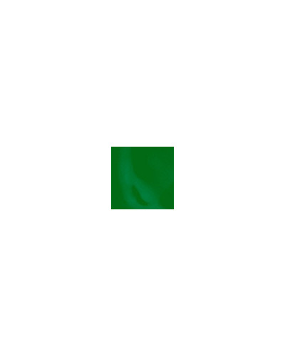 Peinture pour Ongles Paint Mania Green Peggy Sage 12ml