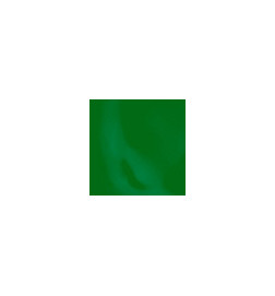 Peinture pour Ongles Paint Mania Green Peggy Sage 12ml
