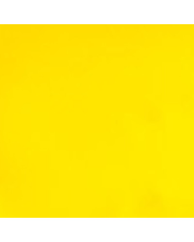 Peinture pour Ongles Paint Mania YellowPeggy Sage 12ml
